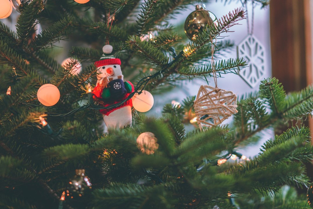PÄÄSTA KUUSK: 7 nippi, kuidas jõulupuu kaua ilus püsiks