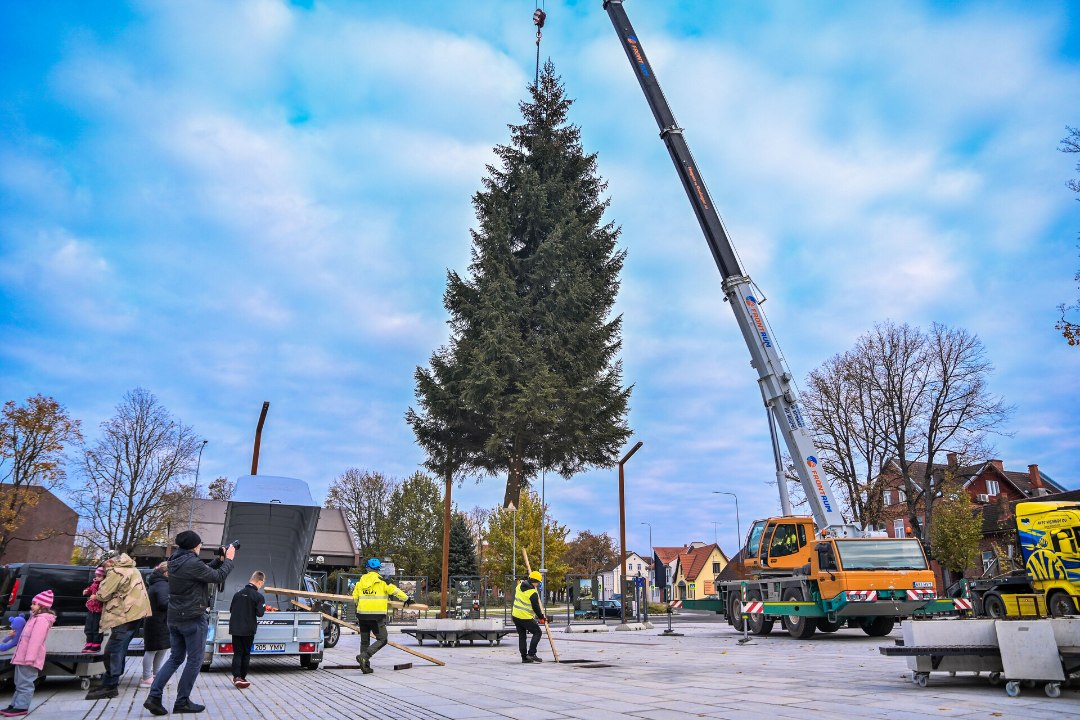GALERII | OMAMOODI REKORD: Viljandisse püstitati juba jõulupuu