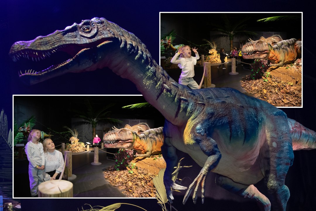 ÕL VIDEO | „OLEME NENDE KÕRVAL NII PISIKESED“ ehk Dinosauruste näitus viieaastase pilgu läbi! 