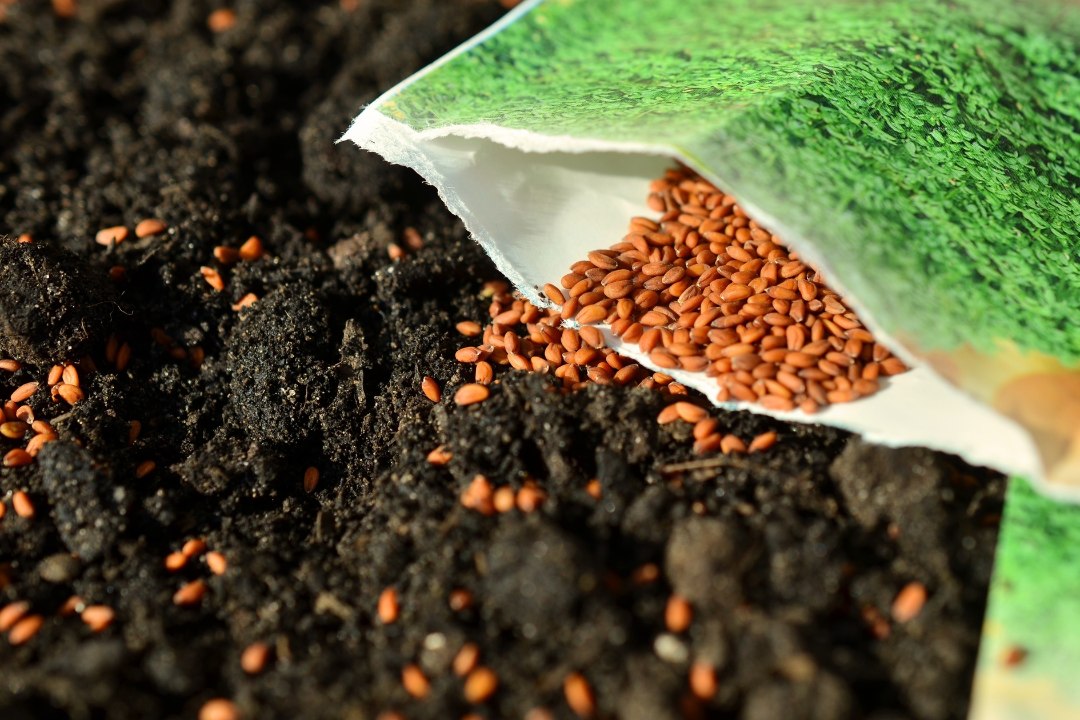 ROHENÄPUD ANNAVAD NÕU: seemneid ei tohi kõikjalt Eestisse tuua ega tellida