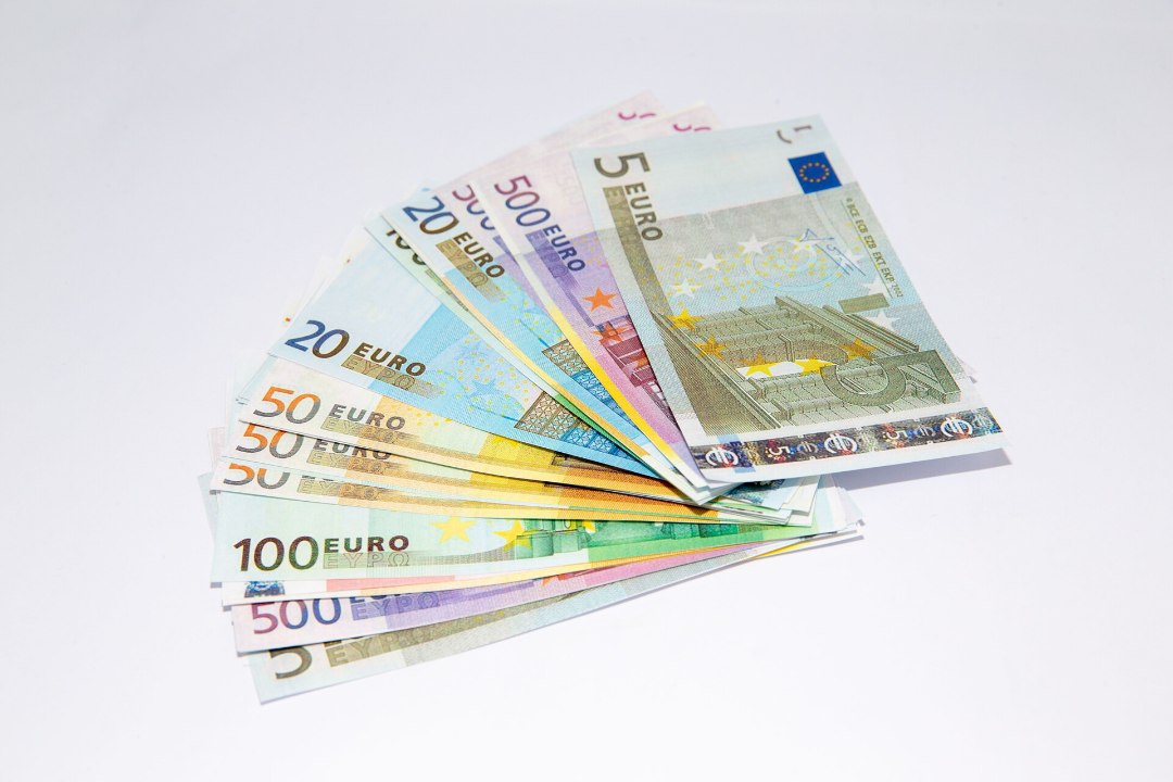 Tallinn maksab turvafirmale korrarikkujate püüdmise eest 52 000 eurot