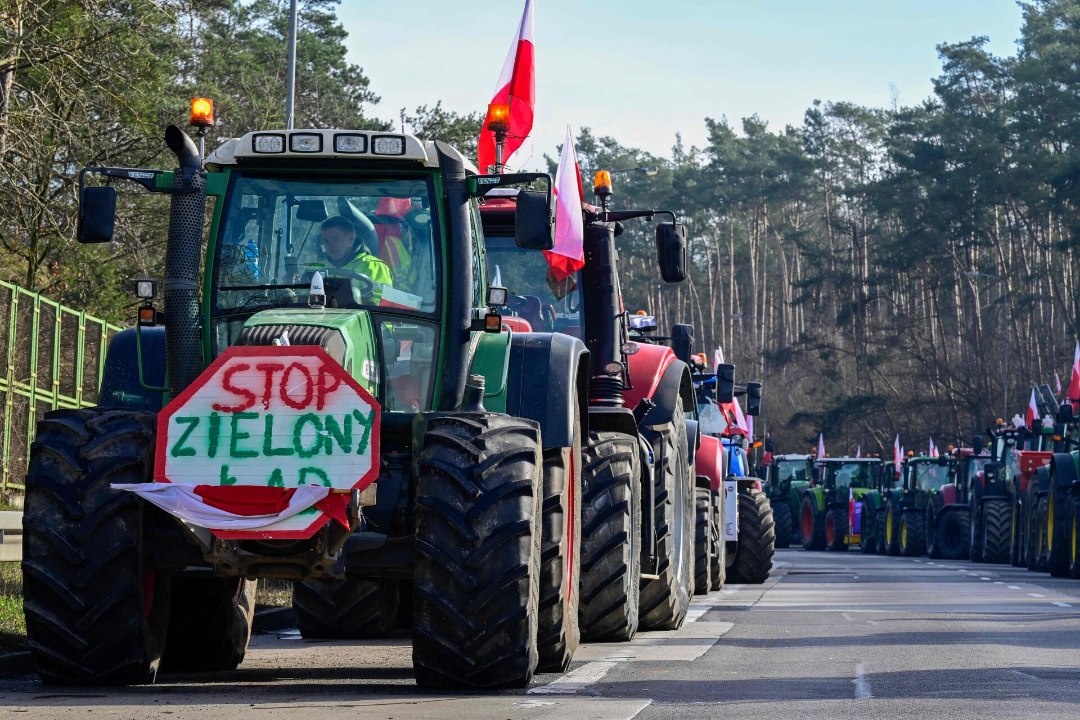 TEESULUD JA VILJA HÄVITAMINE: protestivatele Poola põllumeestele tekitab tuska Ukraina odav teravili ja Euroopa Liidu rohelepe