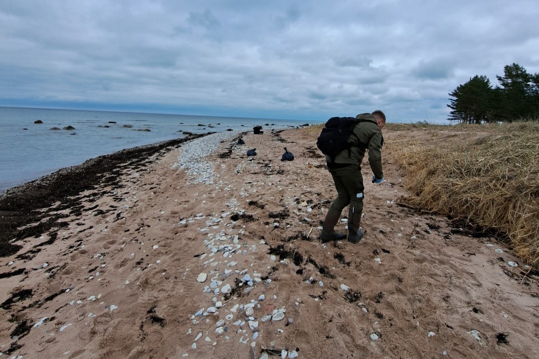 FOTOD | Hiiumaa rannikult leitud reostus on naftasaadus