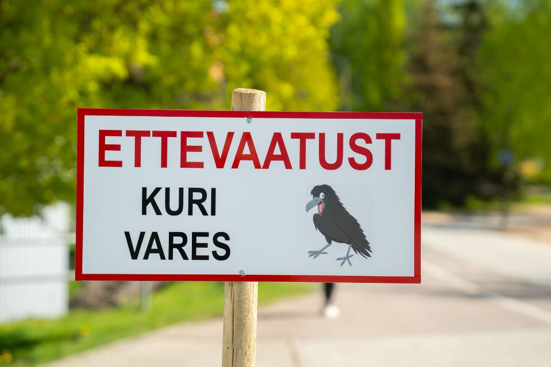 Kuri Vares Tartu Anne Kanali äärde Ilmusid Veidrad Sildid