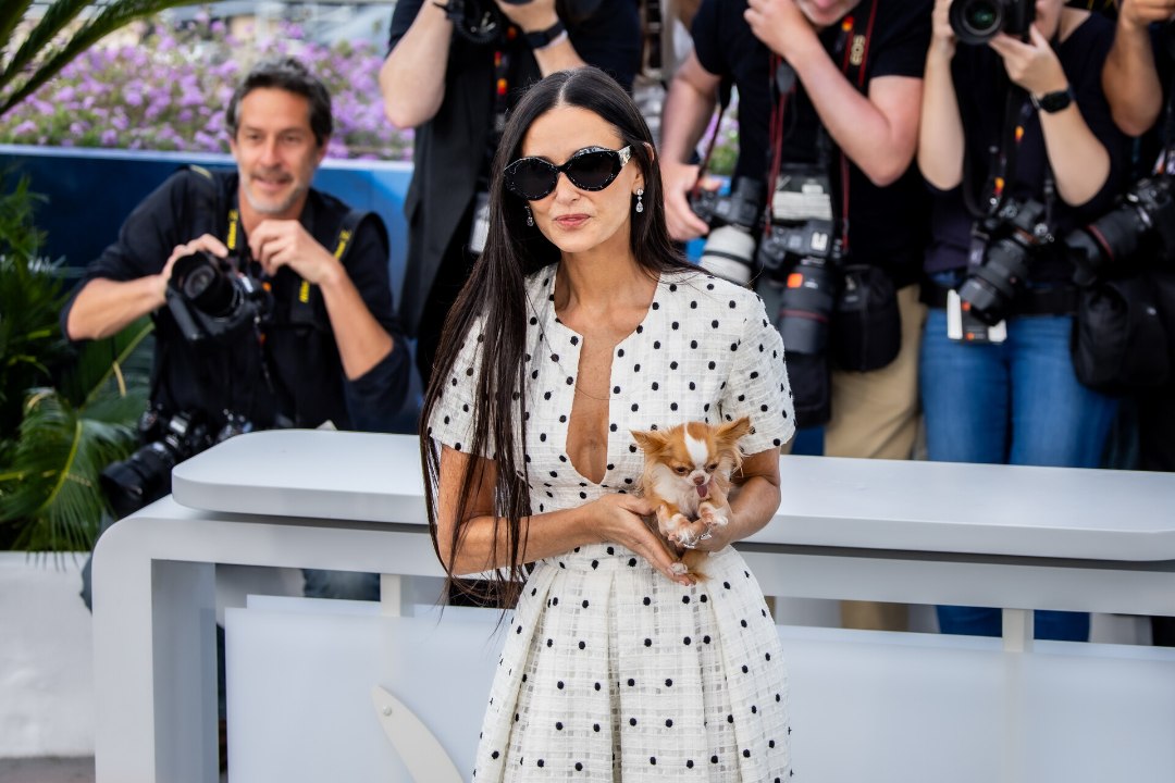 ÕL CANNES'IS | GALERII | DAAM KOERAKESEGA! Demi Moore võttis filmifestivalile kaasa koera