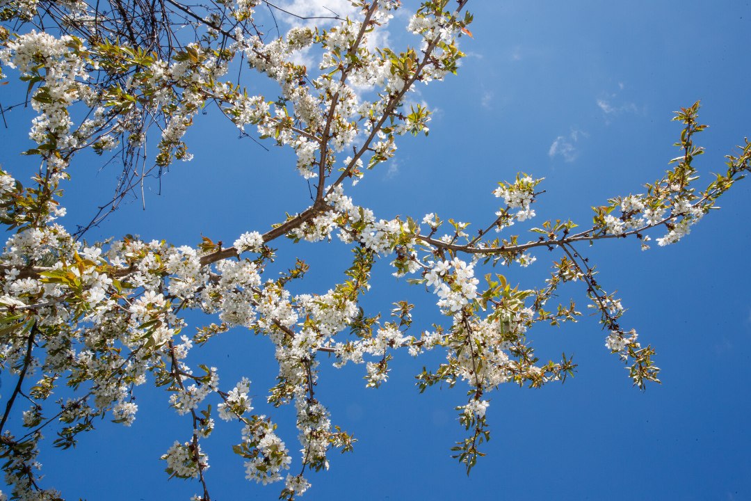 PÄEVAHOROSKOOP: laupäev, 11. mai