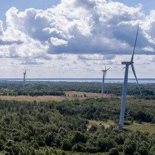 RMK pani Tootsi tuulepargikinnistu enampakkumisele alghinnaga 12,3 miljonit eurot