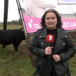 TV3 VIDEO | Kas pärast valimisi hakkavad tuulikud kerkima?