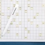 Ristiku Ristsõnad: 29. august 2025 ristsõna ja sudoku