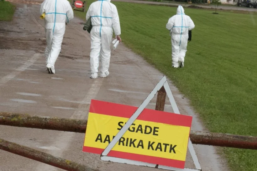 Viljandimaal diagnoositi sigadekatk juba kolmandas farmis