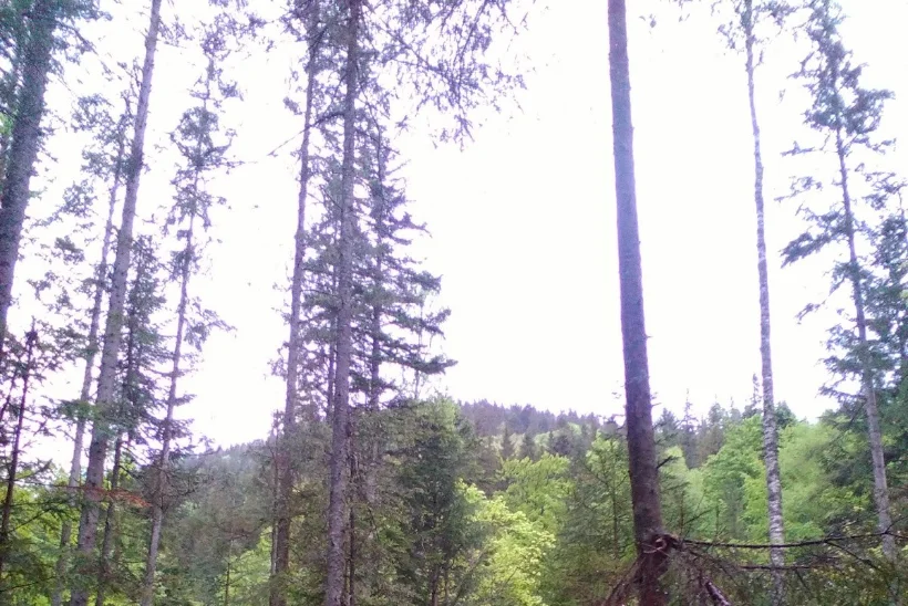 "Palun üks edasi-tagasi pilet siia tagasi" ehk tsikliga mööda Euroopat, 2