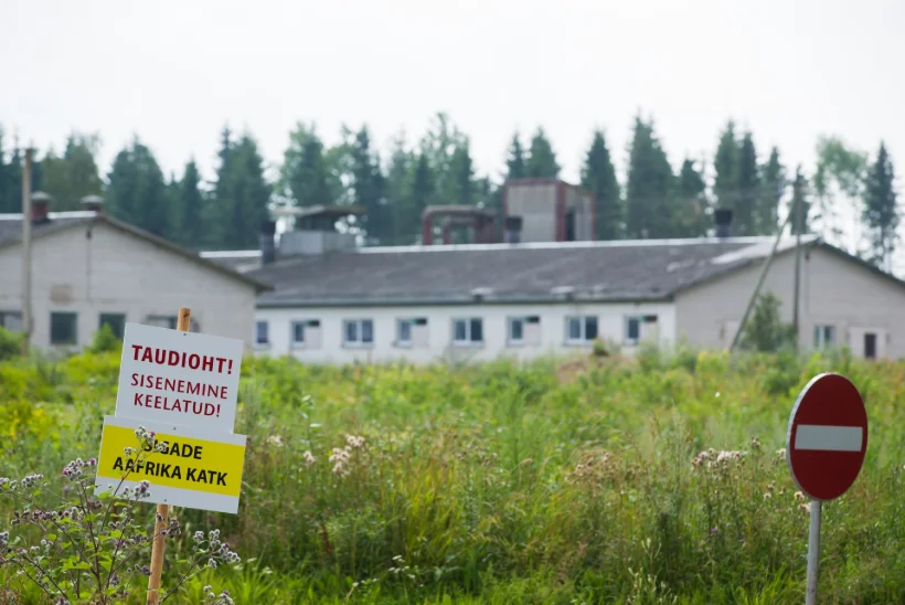 Nördinud kohalikud: seakatku pärast hukati ligi 4000 põssat