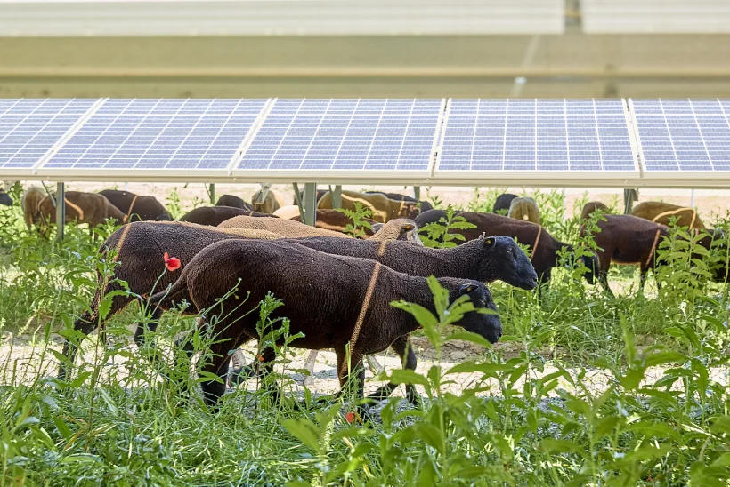 70 PROTSENTI KOKKUHOIDU?! Kui palju saaks Eesti oludes päikesepaneelide abil elektriarvetelt säästa?