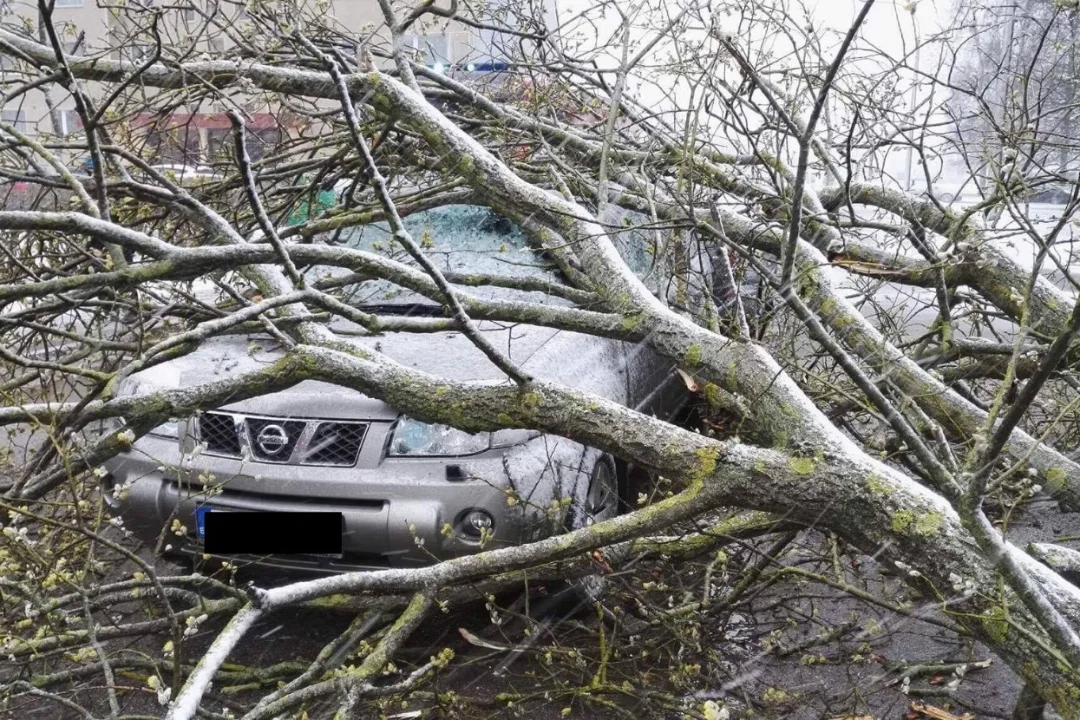 Torm jättis tuhanded kodud elektrita