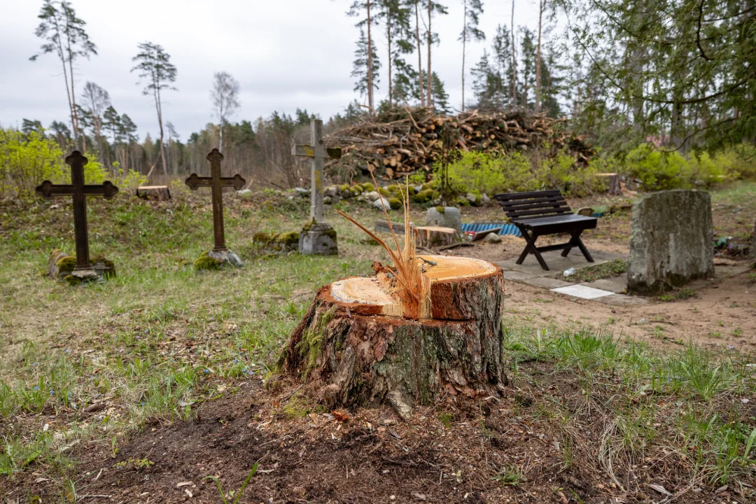 Harvesteriga sõideti kalmistul üle haudade